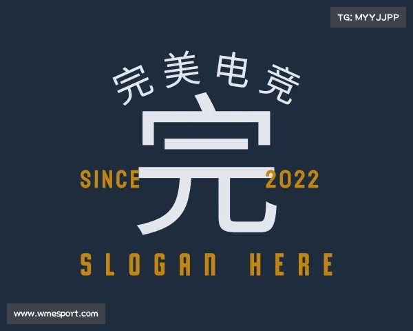解读完美电竞